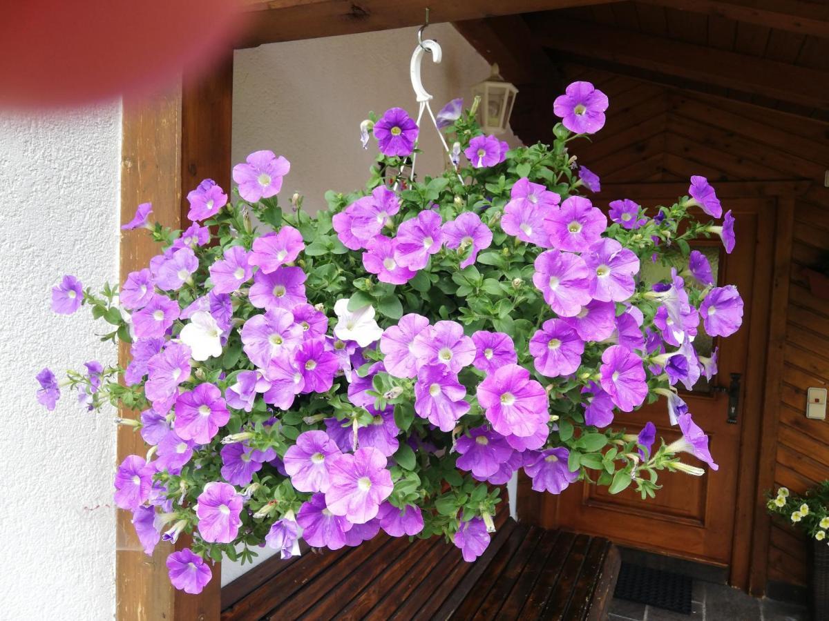 Haus Annemarie Apartments Kartitsch - Hochpustertal 외부 사진