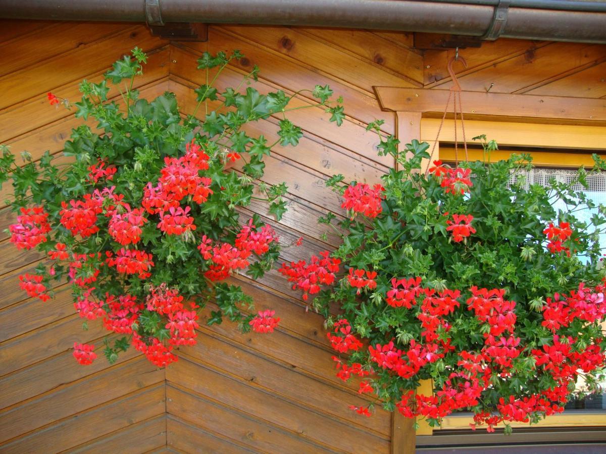Haus Annemarie Apartments Kartitsch - Hochpustertal 외부 사진