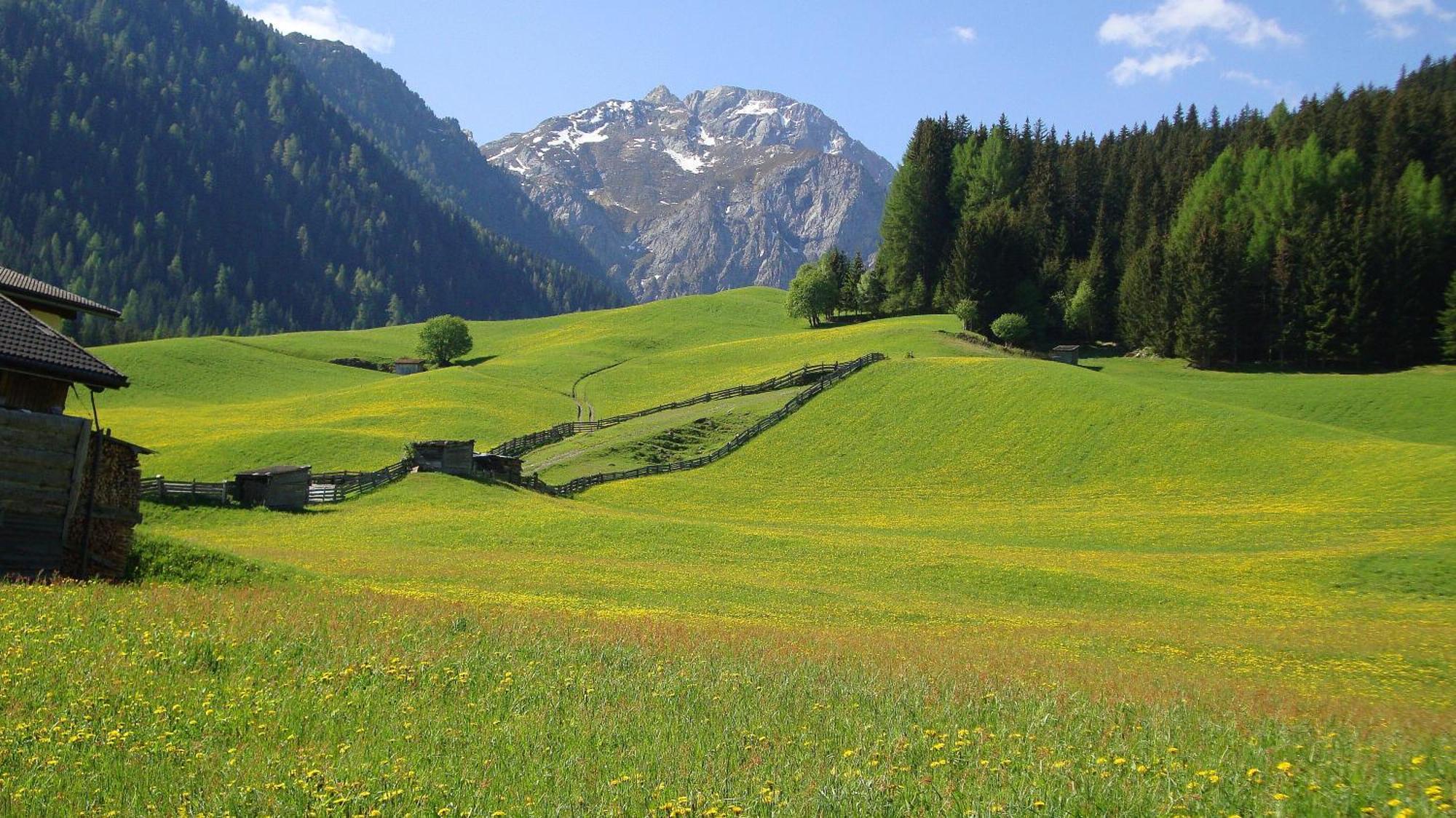 Haus Annemarie Apartments Kartitsch - Hochpustertal 외부 사진