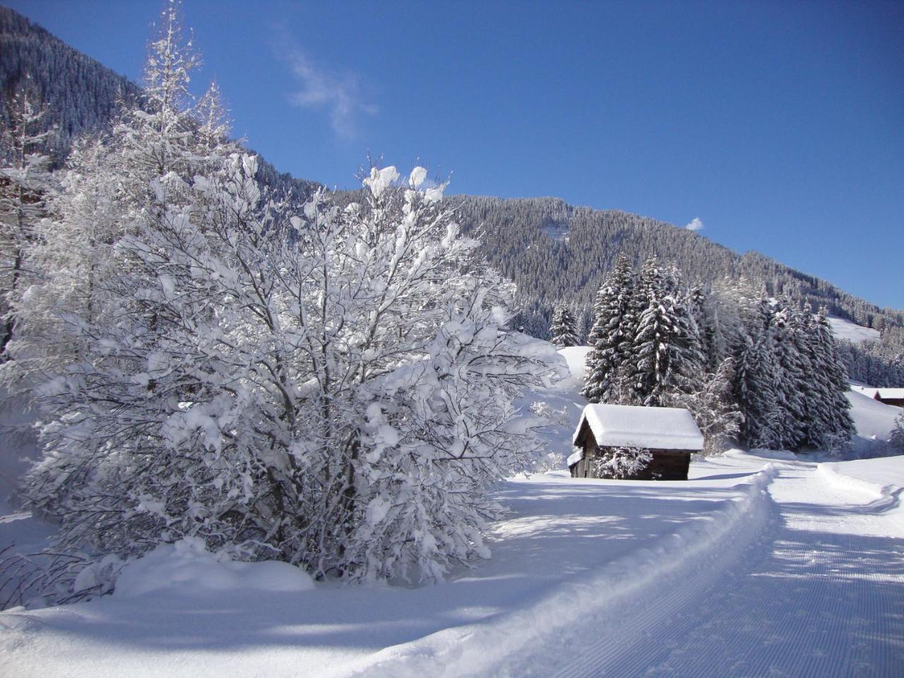 Haus Annemarie Apartments Kartitsch - Hochpustertal 외부 사진