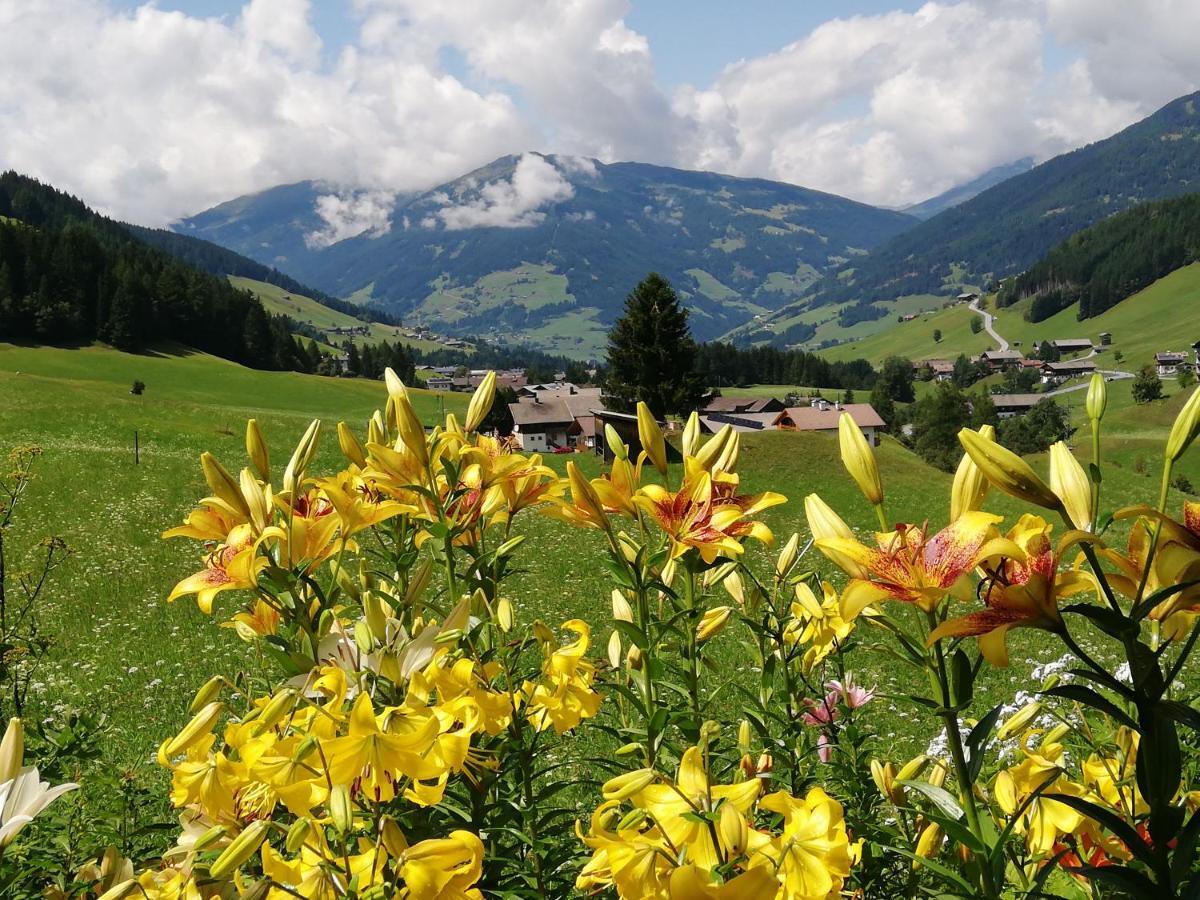 Haus Annemarie Apartments Kartitsch - Hochpustertal 외부 사진